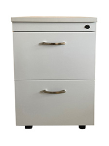 GZPL08GYFF: Two Drawer Filing Cabinet With Feet or Wheels Good