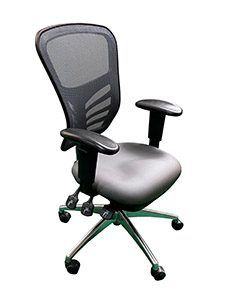 PM9020LGY: Mesh Multifunction Executive Ergonomic Chair