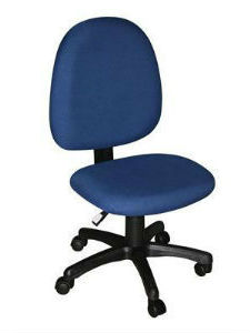 PM9089: Mid Back Ergonomic Task Chair