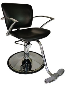 PMBF106: Styling Chair with an European Design