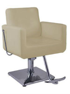 PMBF203: Versatile All Purpose Stylist Chair